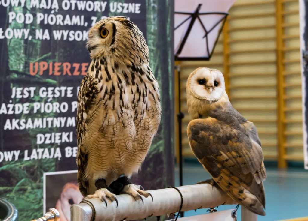 DZIEŃ ŁOWIECKI w Szkole&nbsp;Podstawowej.