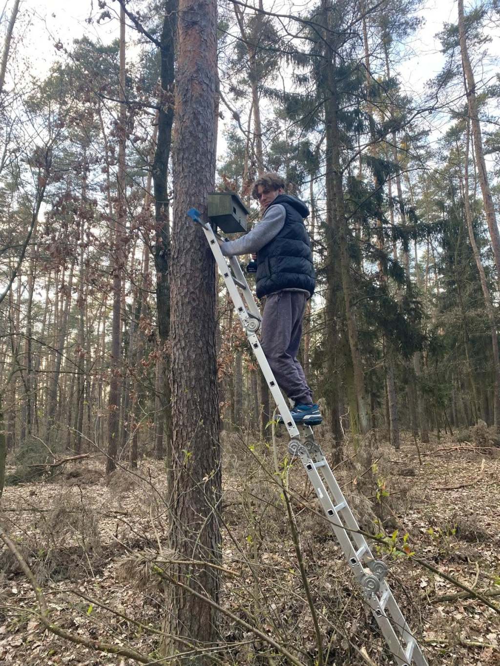 Z troski o skrzydlatych mieszkańców lasu: myśliwi wieszają budki lęgowe.